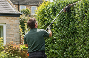 Professional Hedge Cutting Gloucester (GL1)