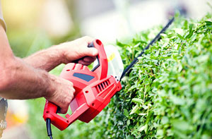 Local Hedge Cutting Hingham NR9
