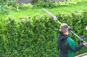 Hedge Trimming Warwick Warwickshire