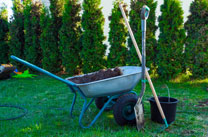 Affordable Local Gardener/Gardeners